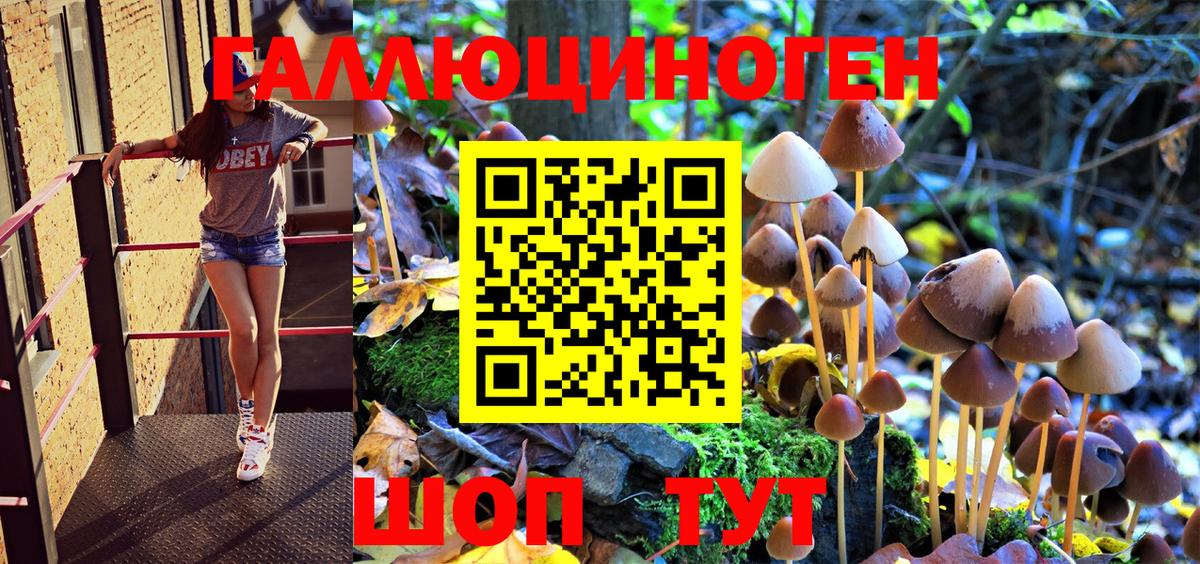 Амурск  Галлюциногенные грибы MAGIC MUSHROOMS  Псилоцибиновые грибы мухоморы  Вход с VPN 